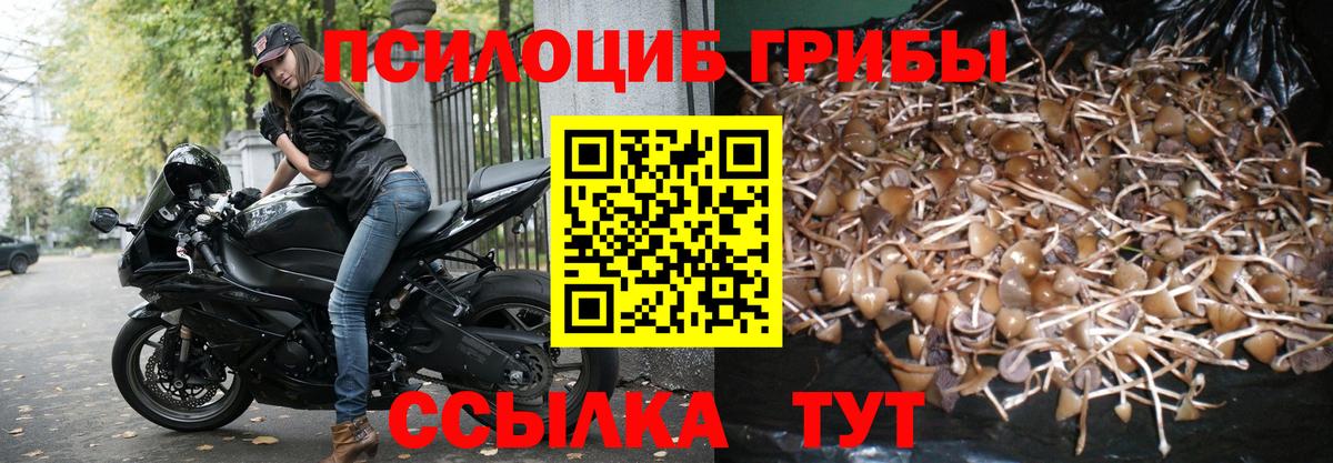Псилоцибиновые грибы Cubensis Ростов-на-Дону